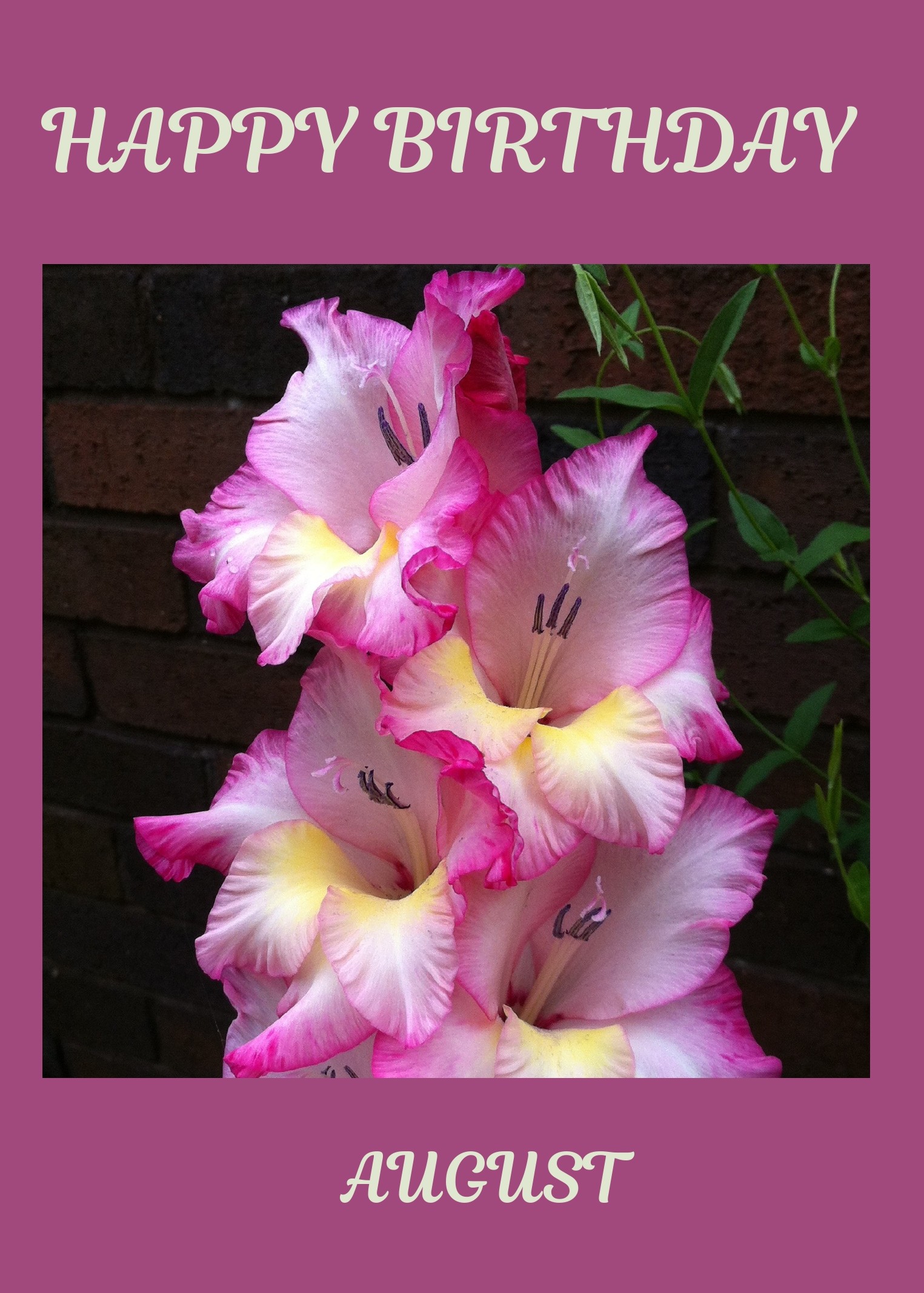 August Birth Flower Card