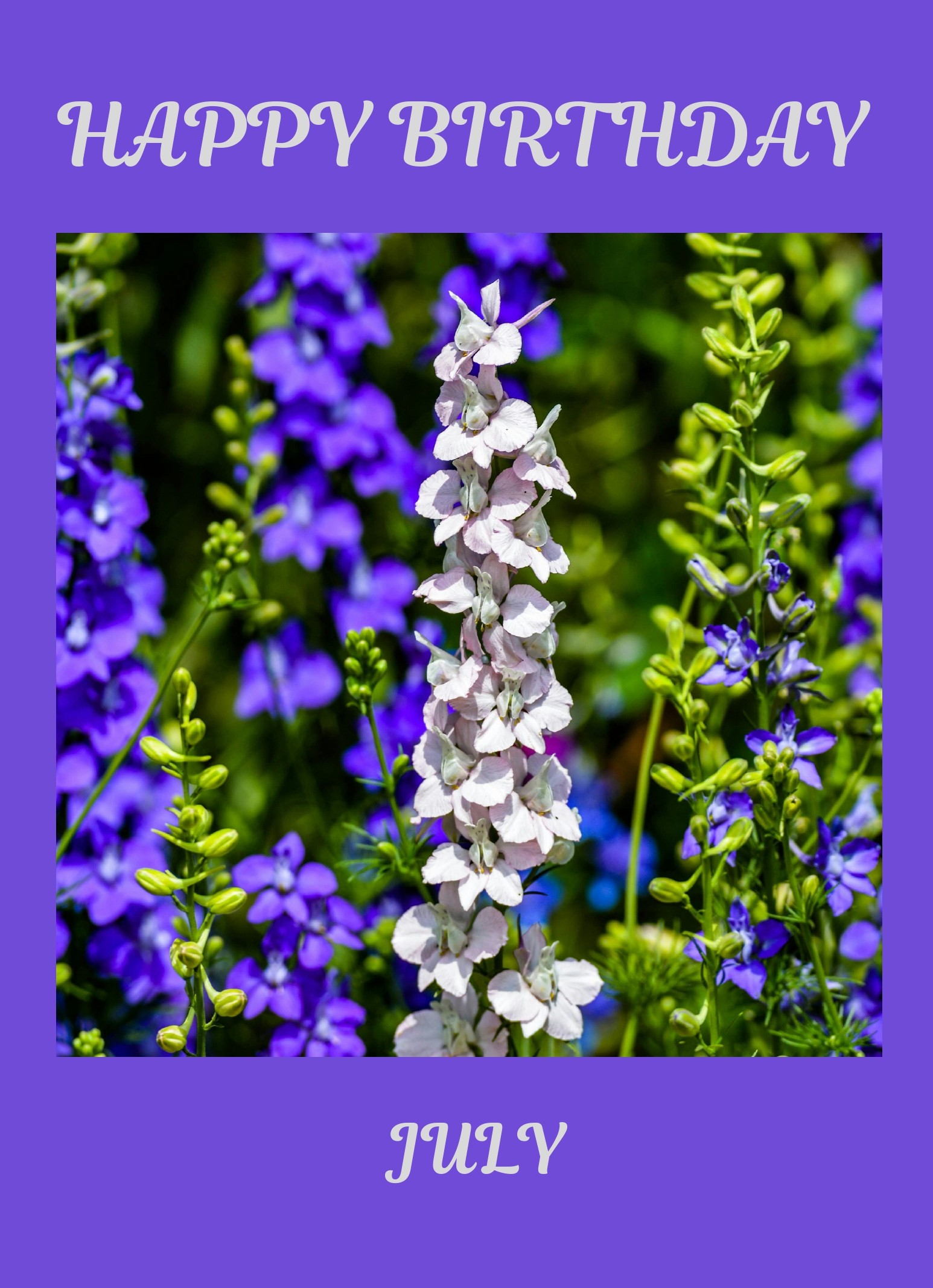 July Birth Flower Card