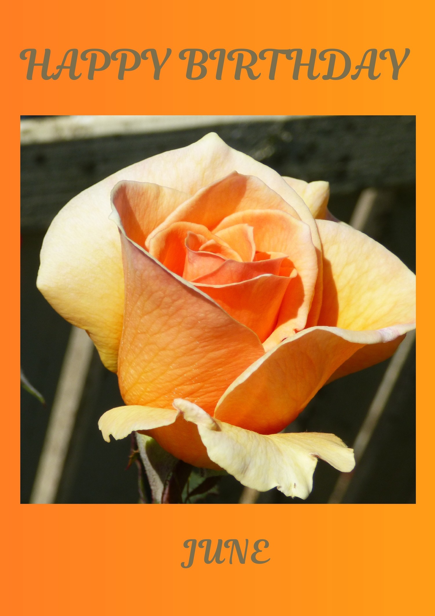 June Birth Flower Card