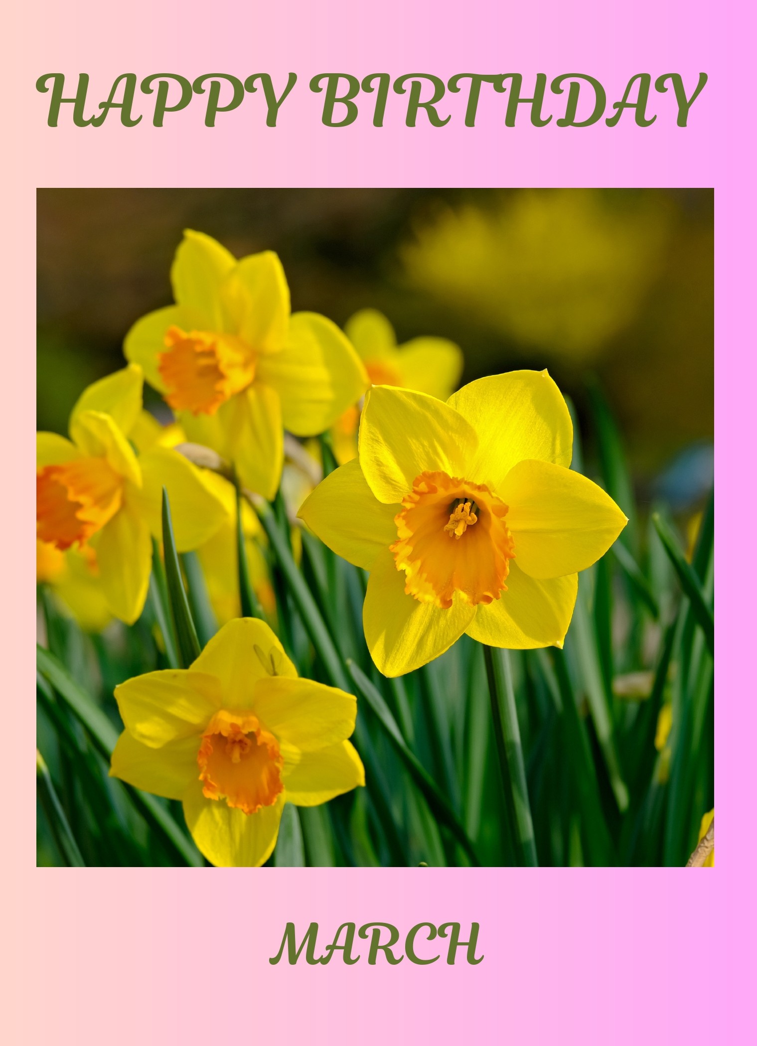 March Birth Flower Card